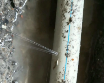 清流卫生间测漏水多少钱