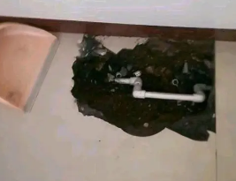 清流卫生间测漏水多少钱